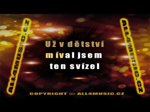 KJ1313 OLYMPIC-Ty slzy dávno vpila tráva (Karaoke verze)