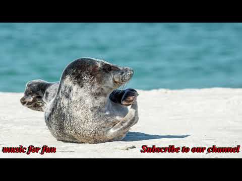 Struck By You Ahlstrom Remix   Simon Gribbe