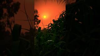 Download lagu அடி பெண்ணே பொன்னூஞ்சல் ஆடும் இளமை... WhatsApp Status Tamil #ilayaraja #jency #ilayarajamelodyhits mp3