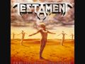 Testament-Envy Life