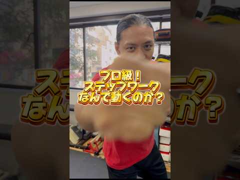 【プロ級】ジャブを打ちながら移動する本当の理由#鈴木悟 #キックボクシング #ボクシング