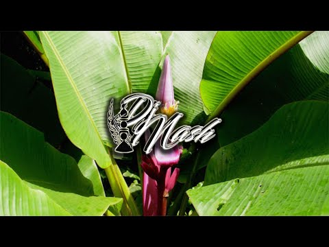 SIMI x DJ NASH - NO LONGER BENEFICIAL (ZOUK REMIX 2k20) [ 4Ayash Azba ]