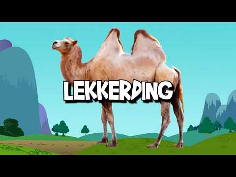 DROEFTOETERS THEMESONG!