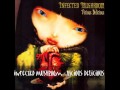 Infected Mushroom - Vicious Delicious