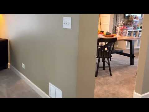 There is a mouse in the house