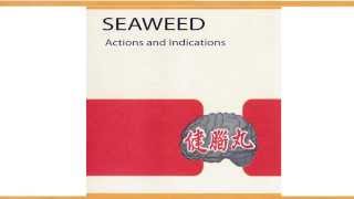 Seaweed - Hard Times