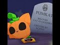 Pumkat Is Gonna Be Scared With My Loadout