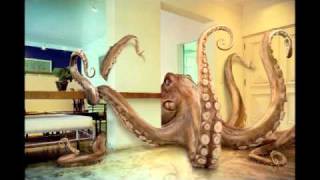 Can "Upduff's Birth" part 1 of 2  (Mother Upduff proto version)