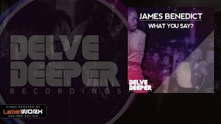 James Benedict - What You Say? (Original Mix)