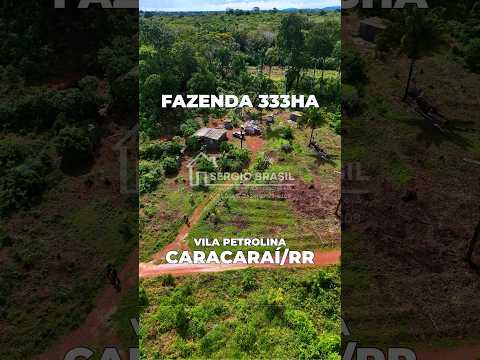 Fazenda 333 hectares Vila Petrolina - Caracaraí/RR #lotesparavenda