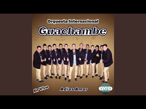 Infiel / Lo Que me Duele / Te Arrepentiras / Procuro Olvidarte