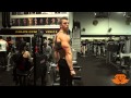 golds gym workout