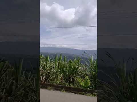 Viajando Por El Estado Trujillo Bocono #venezuela #boconó 