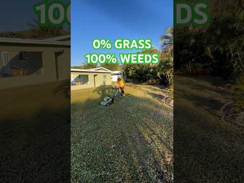 This Lawn has 0 Grass! #lawnmowing #lawnmaintenance #weedcontrol #weedkiller #lawncarebusiness