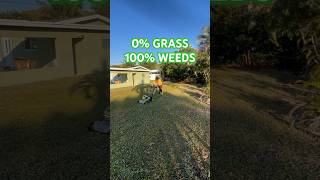 This Lawn has 0 Grass! #lawnmowing #lawnmaintenance #weedcontrol #weedkiller #lawncarebusiness