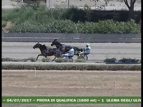 2° Prova di qualifica del 4 Luglio 2017