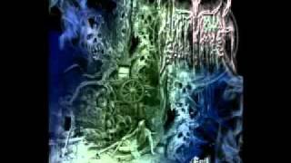 Nocturnal Sacrifice - Asylum's Lullabye