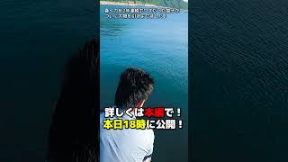 ２キロクラスのイカがエギングにヒット！