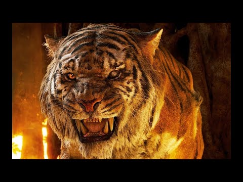 Трейлеры Тигр