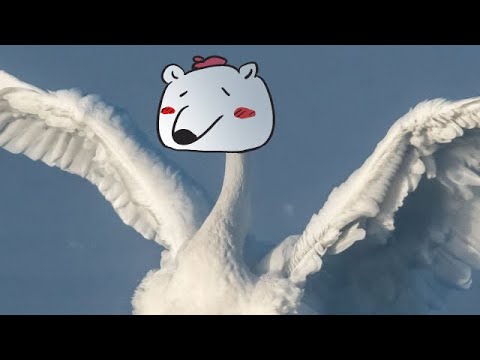 Beauty of the Swan Song