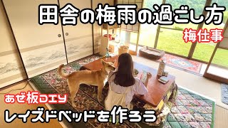 【独身女と保護犬】犬と一緒に梅酒を作ろう｜あぜ板で簡単レイズドベッド【平屋暮らし】