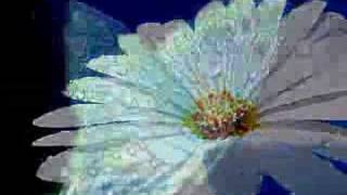 Seigneur je t'aime!!Thomas et Claire Chauliac