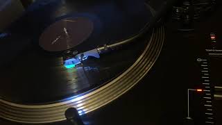 Nine Inch Nails - The Idea of You (On Vinyl)