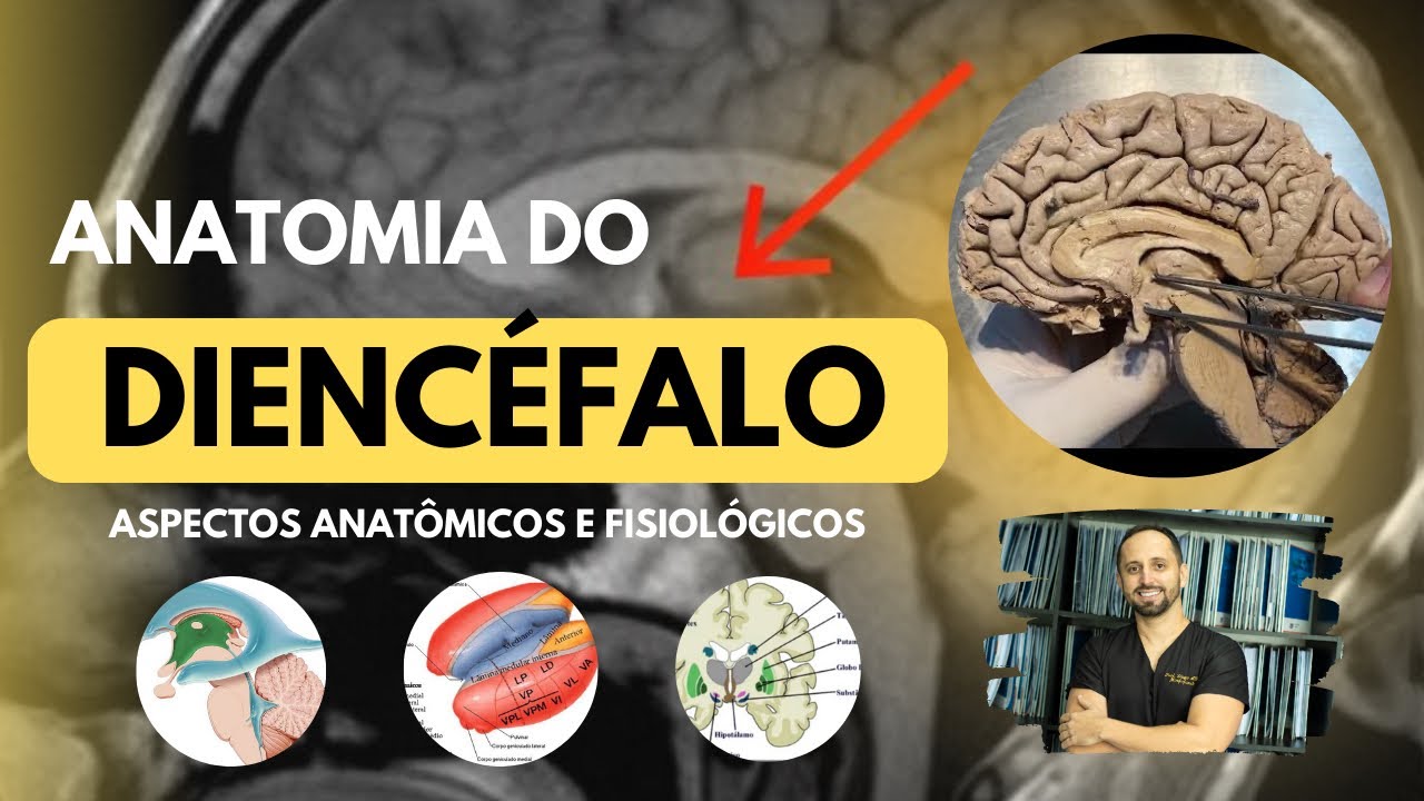 Anatomia do Diencéfalo