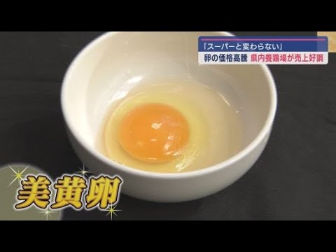 YouTube Video 卵が高騰する中静岡市の養鶏場の販売所では濃厚な味の人気の卵が 浜松市のラーメン店では卵をいくつでも食べられる破格のサービス