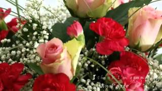 Juan Pardo - I think I'm gonna cry