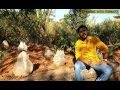 Mayyath Mayyath Feeling Maappilappaat Of MAMMALI