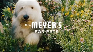 Mrs. Meyer's for Pets