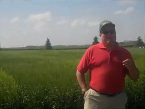 Barley Variety Update and Industry Changes
