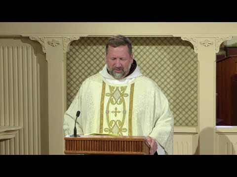 Daily Readings and Homily - 2022-07-14 - Fr. Mark