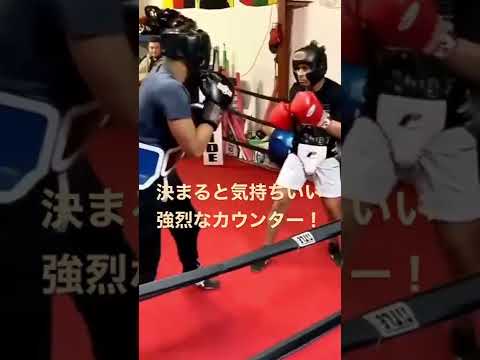サウスポーが得意な左ストレートカウンター！！！#Shorts