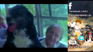 Bien Bien Bravo - Locura - Parchis