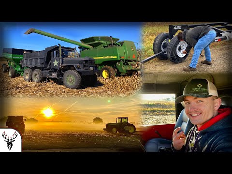 HARVEST TIME AT HILBERT FARMS!!