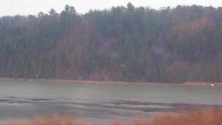 JONATHAN BOULET - You're A Animal (Fishing Remix).mov