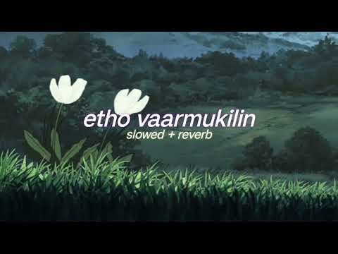 etho vaarmukilin ( s l o w e d + r e v e r b ) | lilvibe