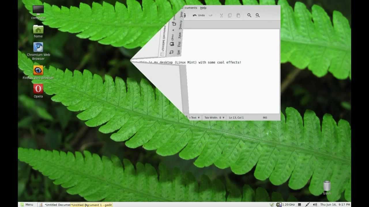 Linux mint 11 Katya compiz effects