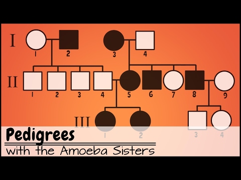 image-What is a pedigree problem?
