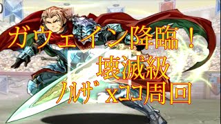 【パズドラ】【202007 ガウェイン降臨！ 鷹騎士 壊滅級  ノルザｘココ周回】（マルチ）
