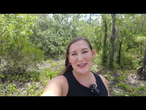 Saddle Up for the Pine Ridge Estates Lifestyle — 2855 N Stirrup Drive Awaits MLS#854955
