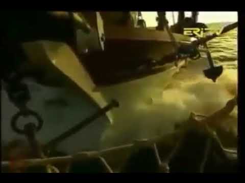 Eritrean Old music ~ Abubeker♥