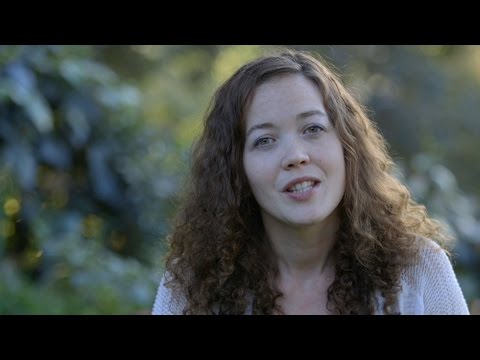 Tyrrell's Sunrise Pitch for Twilight Storytellers