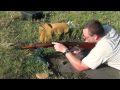 Steyr M95 Stutzen Carbine in 8x56r 