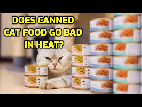 YouTube video about: Can canned cat food go bad in heat?