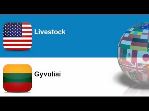 Learn Lithuanian vocabulary #Topic = Cattle, livestock and small animals