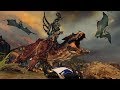 Vidéo de gameplay de Total War: Warhammer II  PC