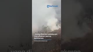 SEMPAT TERBAKAR HEBAT Kebakaran di Gunung Andong Berhasil Dipadamkan, Begini Kondisinya Kini